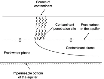 Capillary Fringe Image